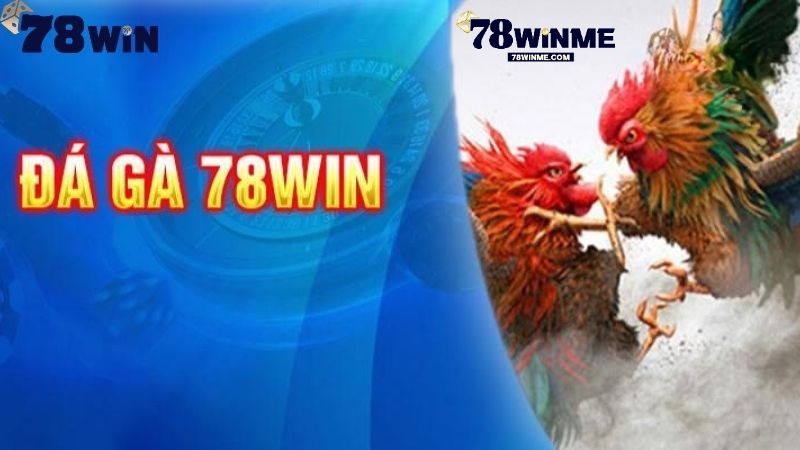 Giới thiệu đá gà 78WIN Giới thiệu đá gà 78WIN