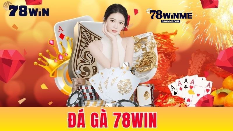 Các loại hình đá gà nổi bật tại 78WIN mà bạn nên thử Các loại hình đá gà nổi bật tại 78WIN mà bạn nên thử
