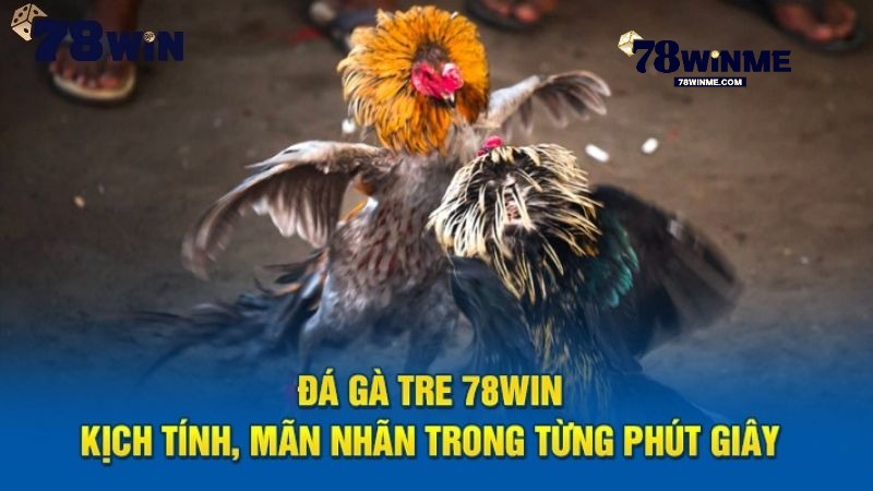 Những ưu điểm vượt trội khi chơi đá gà 78WIN Những ưu điểm vượt trội khi chơi đá gà 78WIN